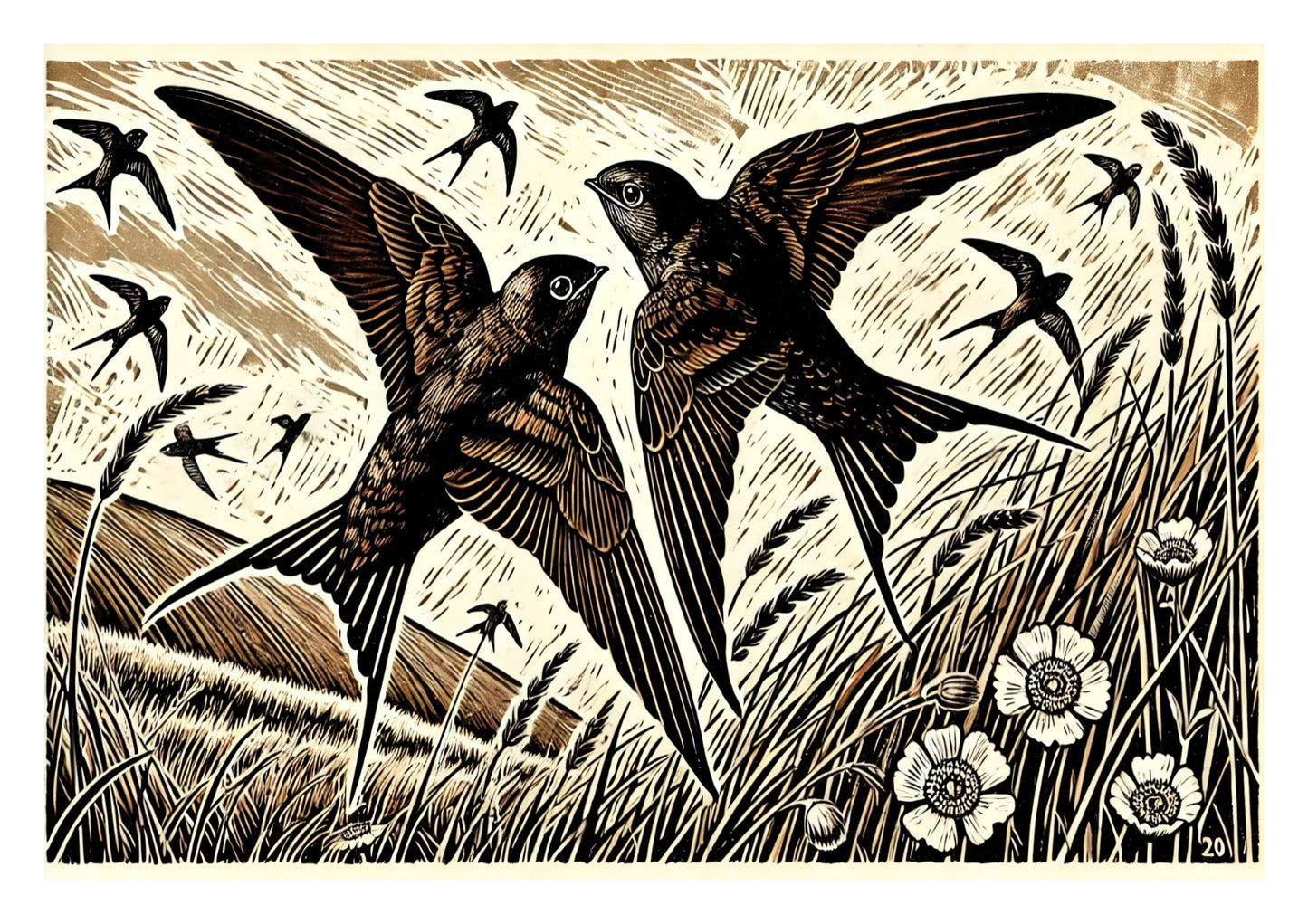 Swifts