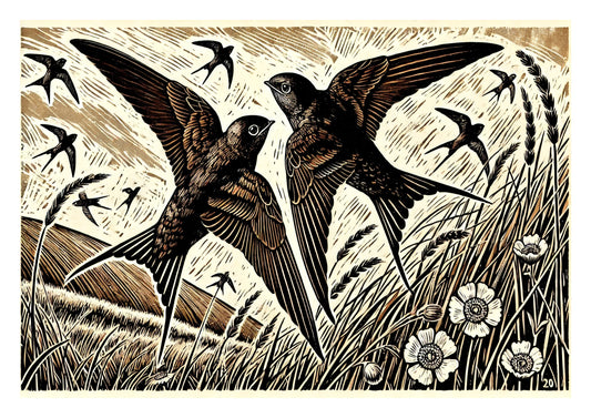 Swifts