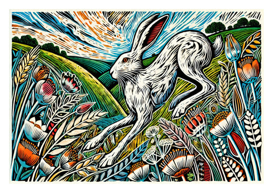 White Hare in Colourful Meadow